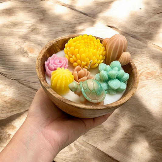 Cactus y suculentas en Cuenco de madera pequeño