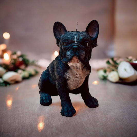 Bulldog francés grande