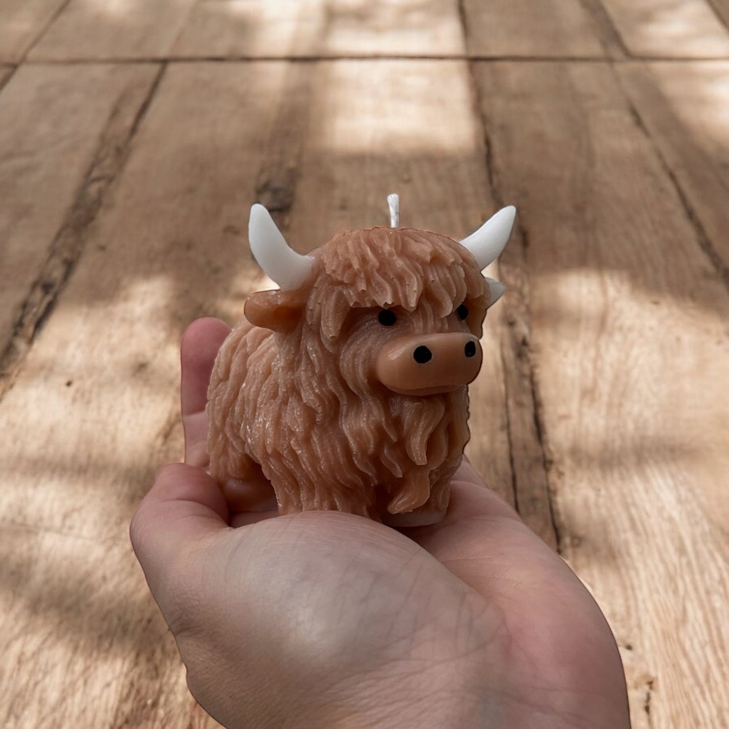 Bisonte