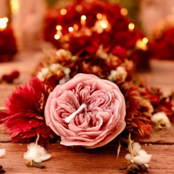 Peonia 2