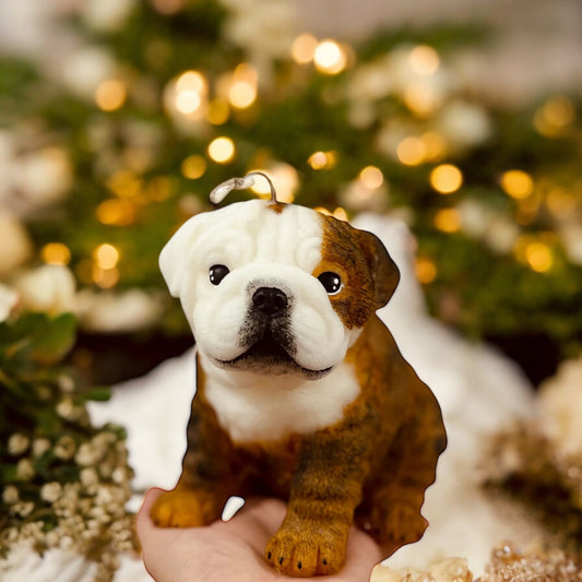 Bulldog ingles grande