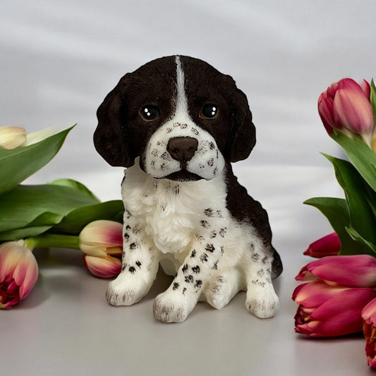 Springer Spaniel