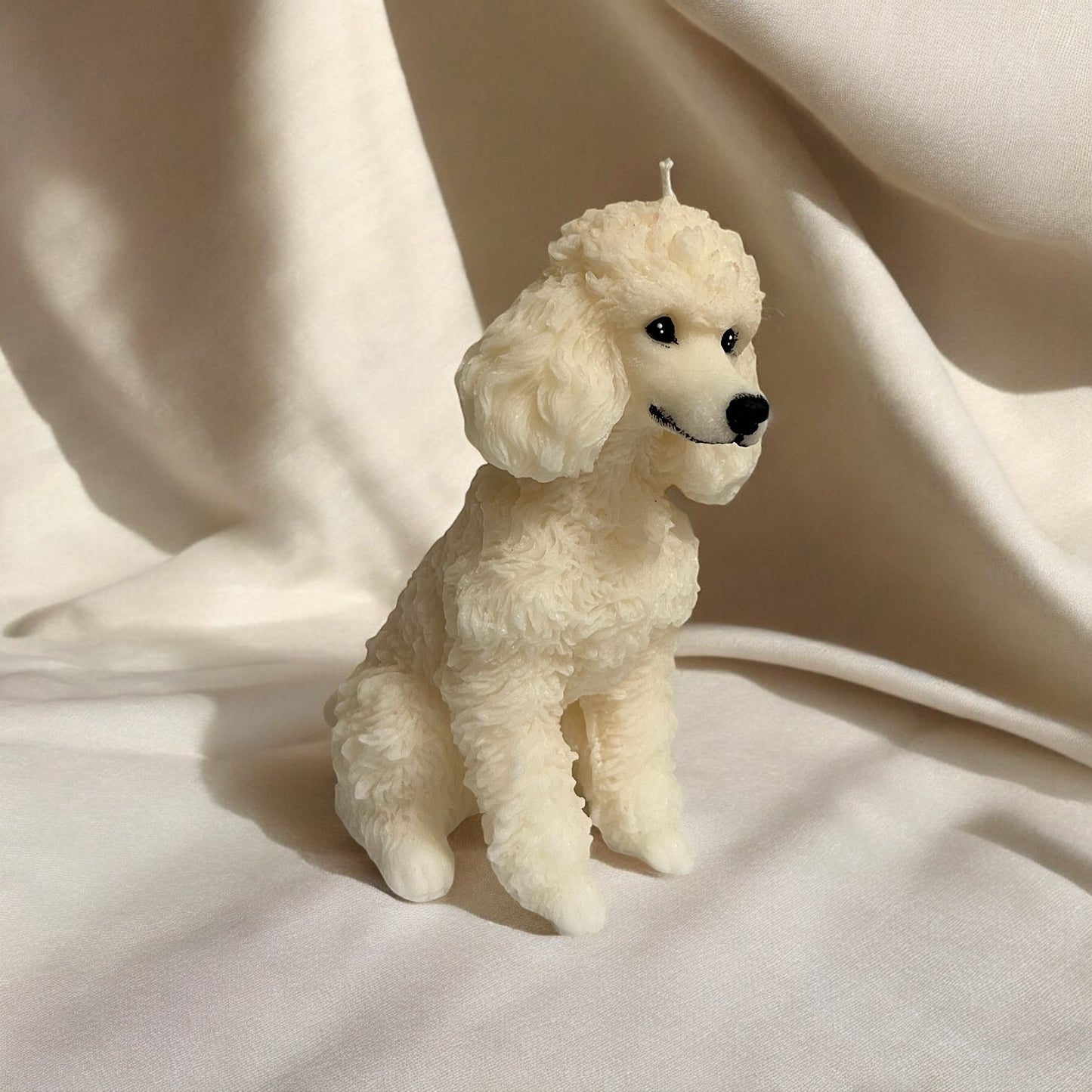 French Poodle tall