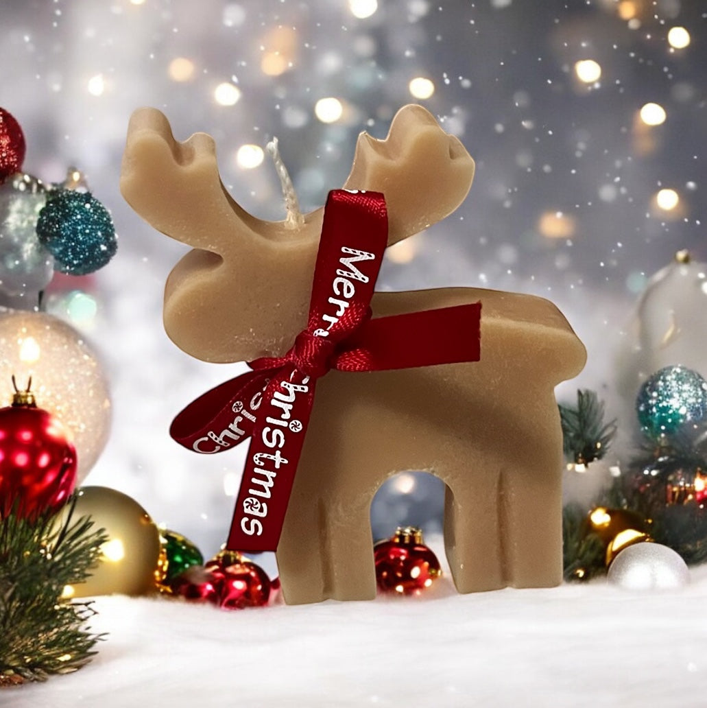 Reindeer