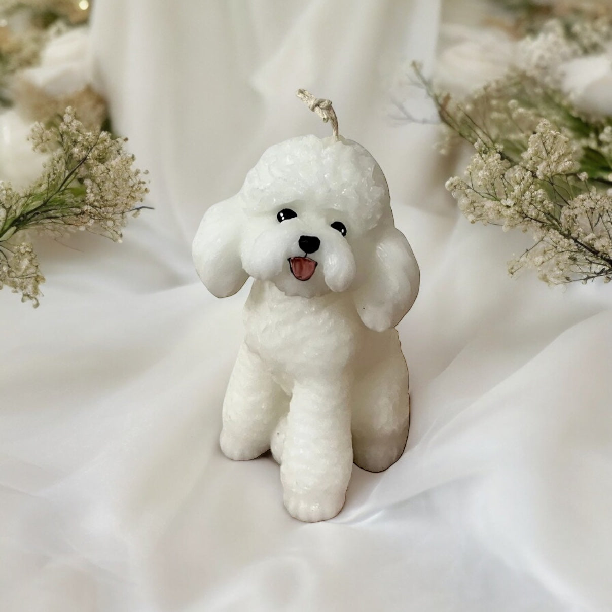 sitting poodle