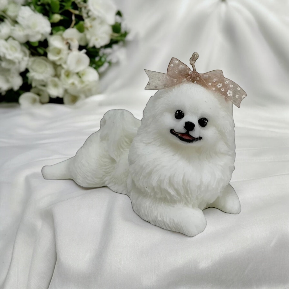 Pomeranian grande acostado