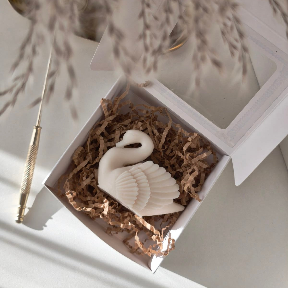 Cisne