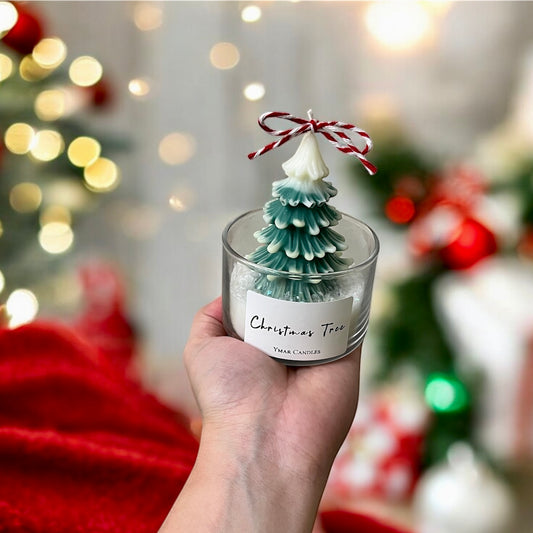 Pino en Envase de Cristal Regalo