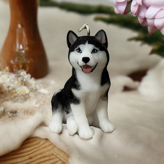 Husky siberiano