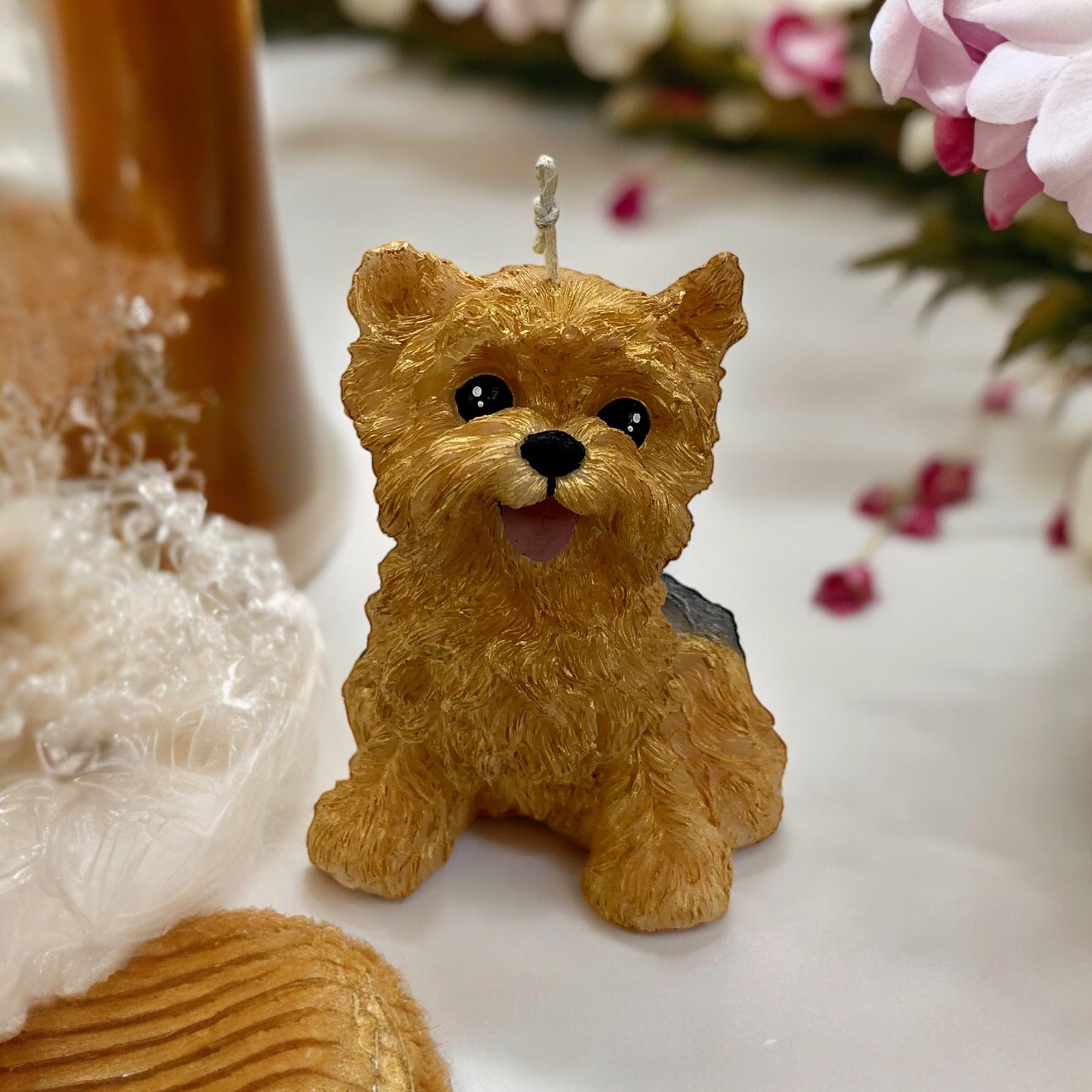 Yorkie