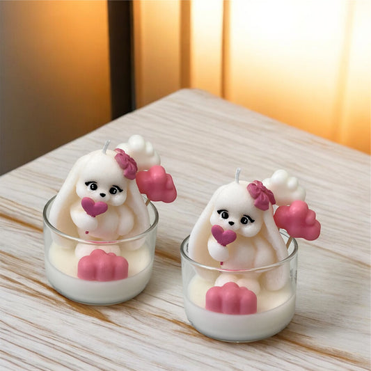 Bunny in a jar and a box