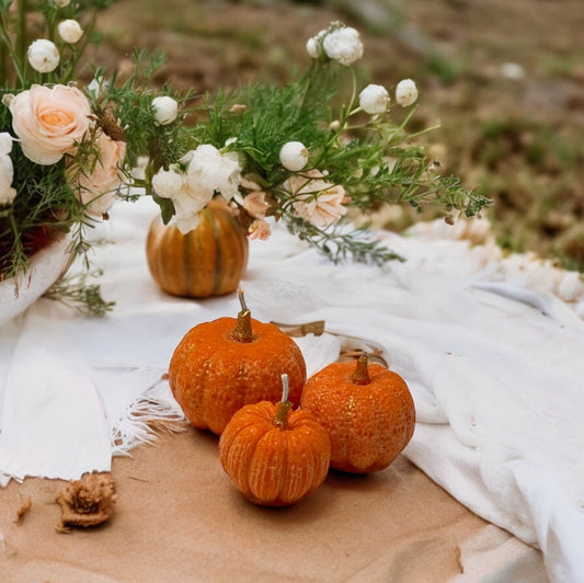 Pumpkins (large, medium and small)