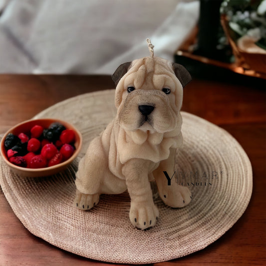 Shar Pei