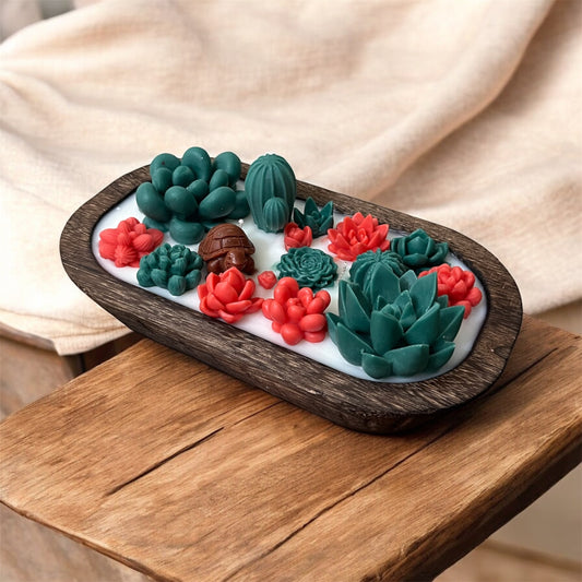 Bowl succulents and cacti
