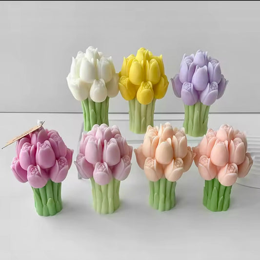 Tulipan