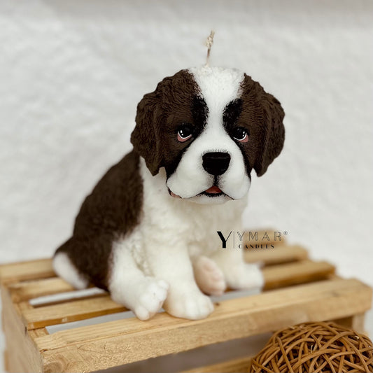 Saint Bernard