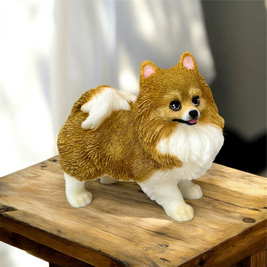Large Pomeranian standing