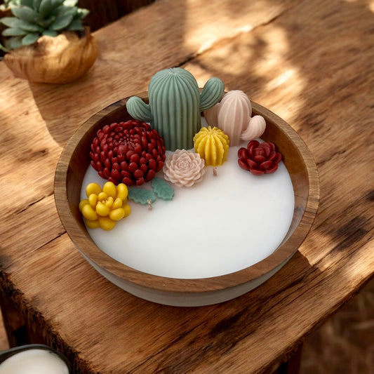 Cactus and succulents in large wooden bowl