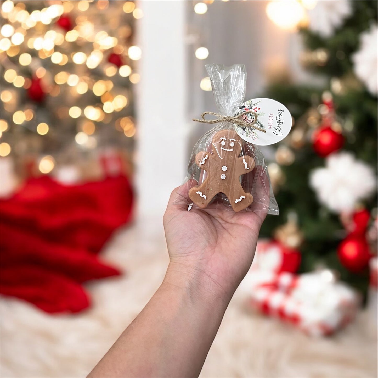 Galleta de jengibre Regalo