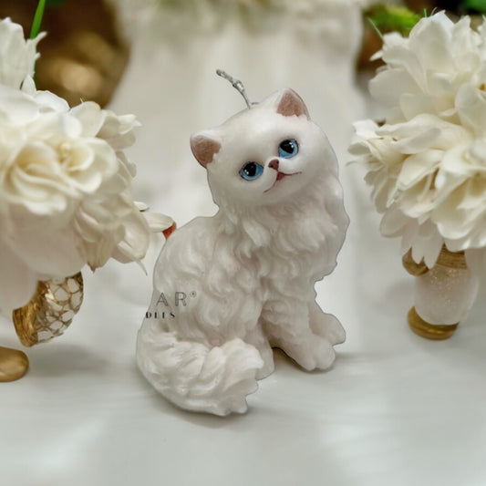 Persian cat