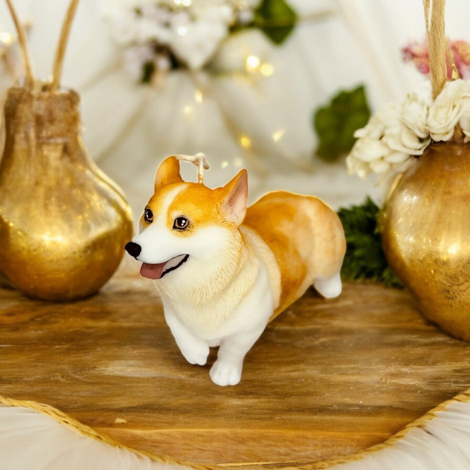 Corgi