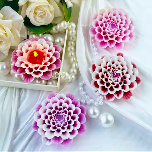 Chrysanthemum