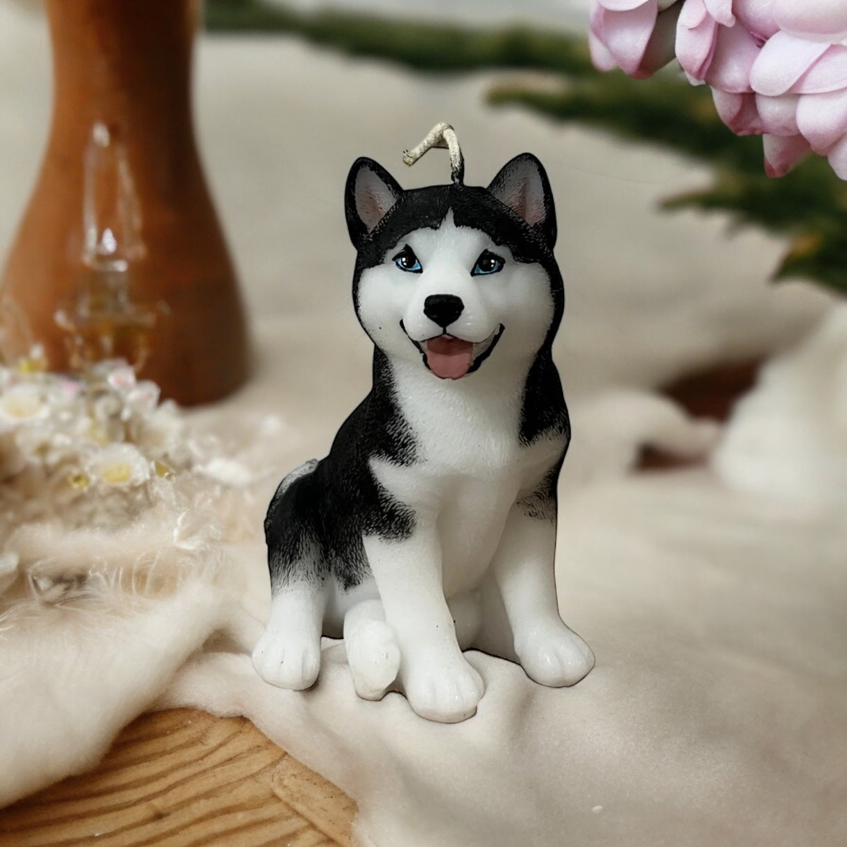 Siberian Husky 